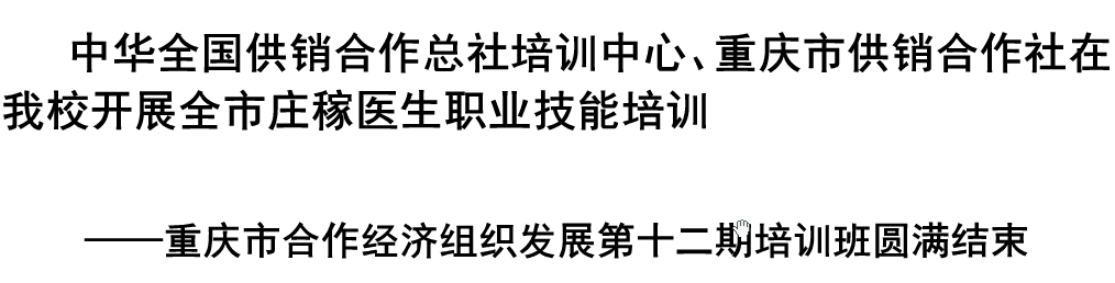 我校教師陳應(yīng)會(huì)老師在永川區(qū)委重要接待中立大功